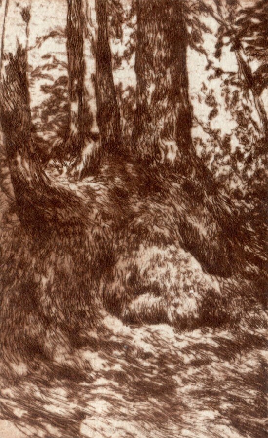 A travers les ombres - pointe sèche sur tetrapak - 7x11 cm