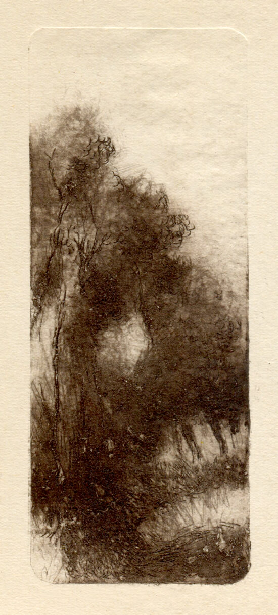 Au détour du chemin (2025) tetrapak - 6x15cm