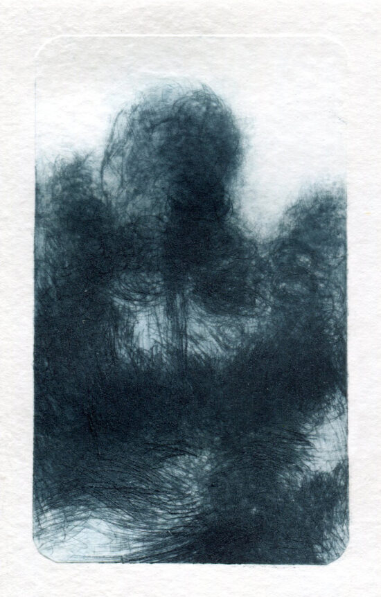 Brouillard (2025) tetrapak - 7x12 cm