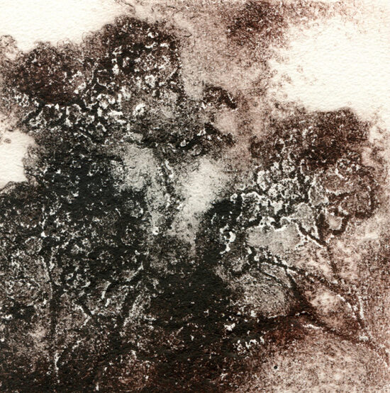 Feuillage (2025) carborundum - 14x14 cm