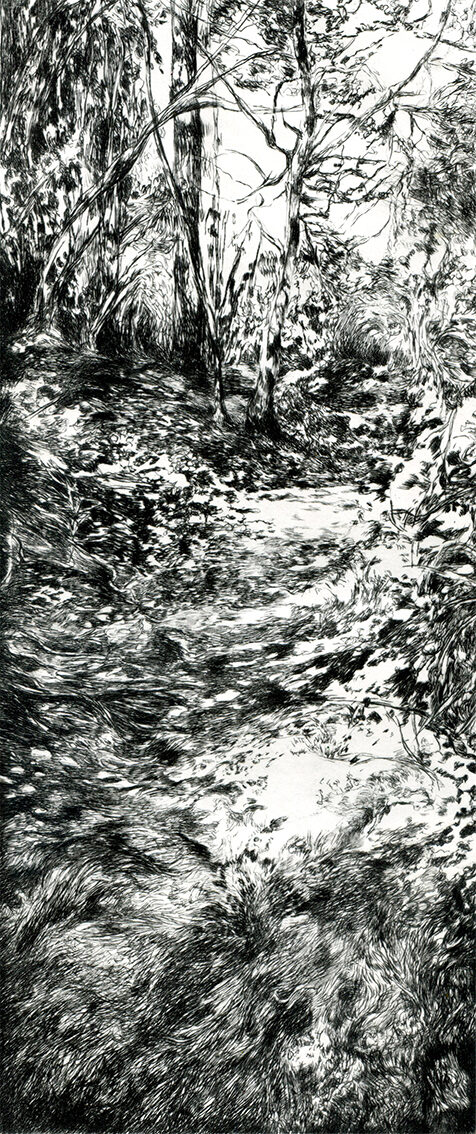 Le Mont-Joly II- pointe sèche sur plexigas - 32x14 cm
