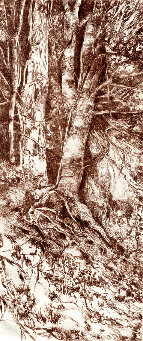 Le Mont-Joly - pointe sèche sur plexigas - 32x14 cm
