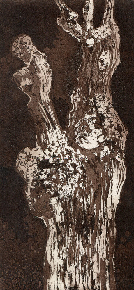 Tronc II (2024) aquatinte - 10x20 cm