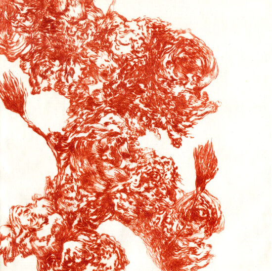 Les envolées II - pointe sèche sur plexiglas - 17x14 cm