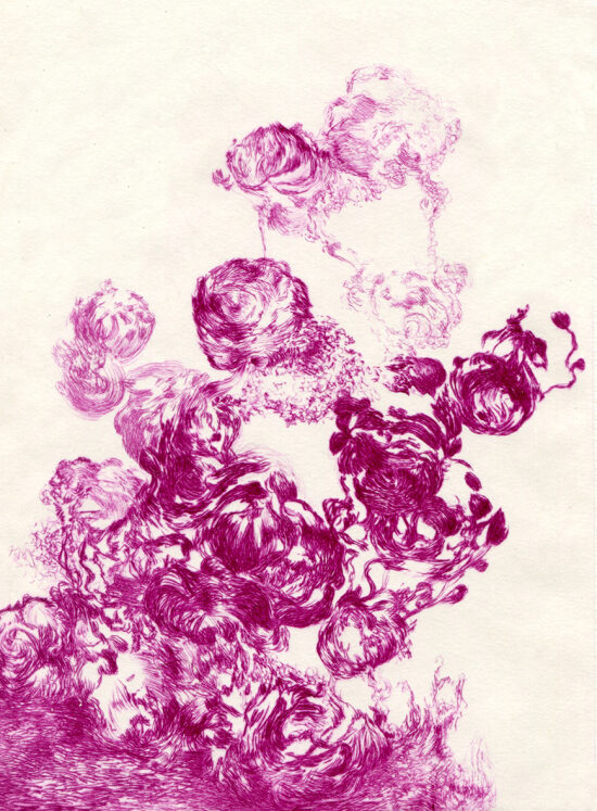 Les envolées III - pointe sèche sur plexiglas - 15x21 cm