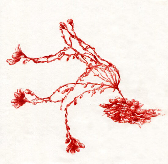 Les senteurs des feuilles II - pointe sèche sur plexiglas