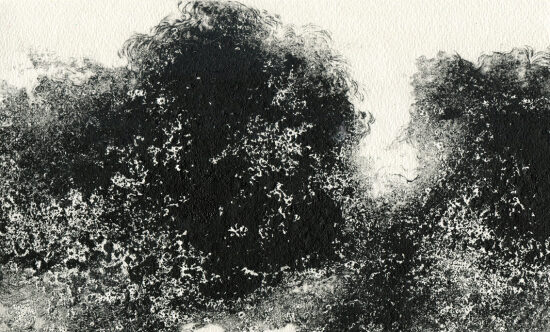 Paysage II (2025) Carborundum - 25x15 cm