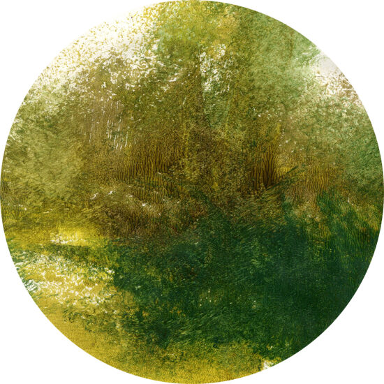 Paysage VI (2026)