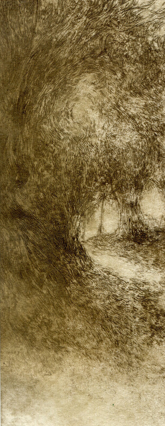 Promenade à Marie-Joly -  pointe sèche sur tetrapak - 8x22 cm