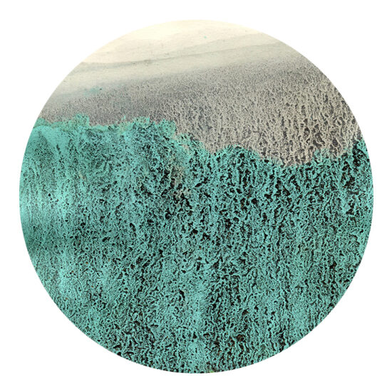 Sans titre III (2024) monotype - 18x18 cm