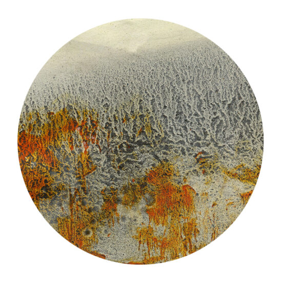 Sans titre (2024) monotype - 18x18 cm