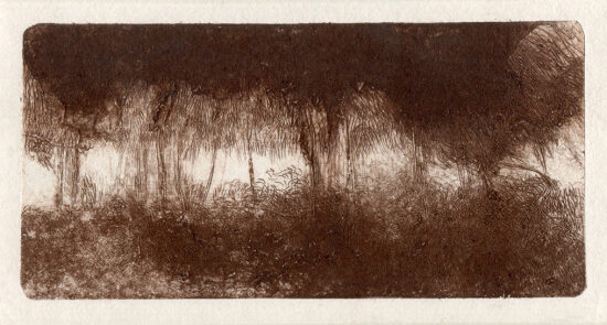Sous-bois (2025) tetrapak - 8x16 cm