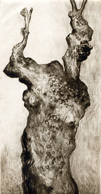 Tronc I (2023) pointe sèche - 10x20 cm